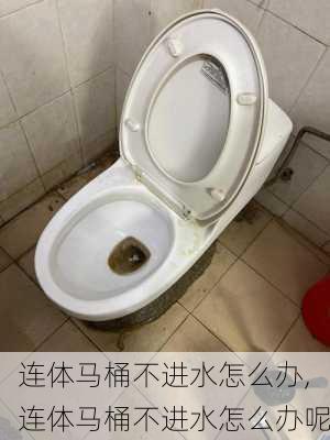 连体马桶不进水怎么办,连体马桶不进水怎么办呢