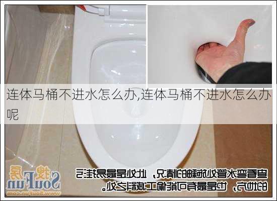 连体马桶不进水怎么办,连体马桶不进水怎么办呢