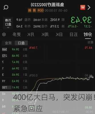 400亿大白马，突发闪崩！紧急回应