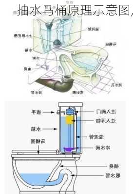 抽水马桶原理示意图,