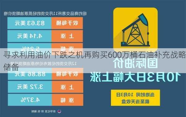 寻求利用油价下跌之机再购买600万桶石油补充战略储备