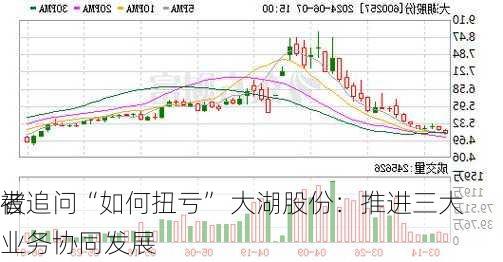 被
者追问“如何扭亏” 大湖股份：推进三大业务协同发展