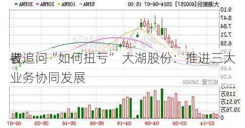 被
者追问“如何扭亏” 大湖股份：推进三大业务协同发展