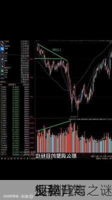 揭秘
5月非农
业飙升与
反弹背离之谜