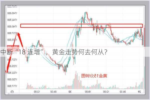 
中断“18 连增”，黄金走势何去何从？