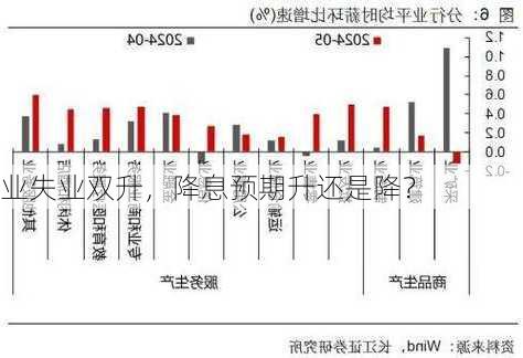 业失业双升，降息预期升还是降？