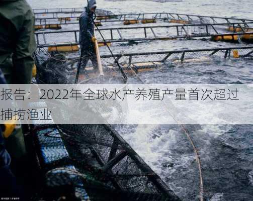 
报告：2022年全球水产养殖产量首次超过捕捞渔业