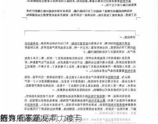 刘姝威最新发声：对于
的
行为 目前的惩罚力度与
相
还有所不足