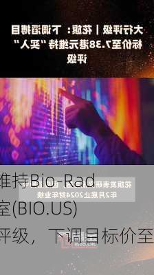 花旗维持Bio-Rad实验室(BIO.US)持有评级，下调目标价至300
