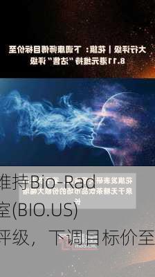 花旗维持Bio-Rad实验室(BIO.US)持有评级，下调目标价至300
