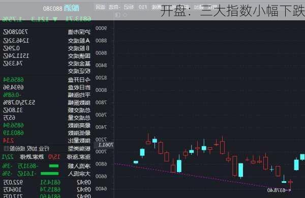 
开盘：三大指数小幅下跌