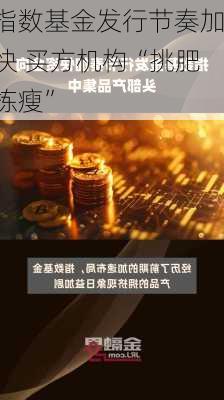 指数基金发行节奏加快 买方机构“挑肥拣瘦”