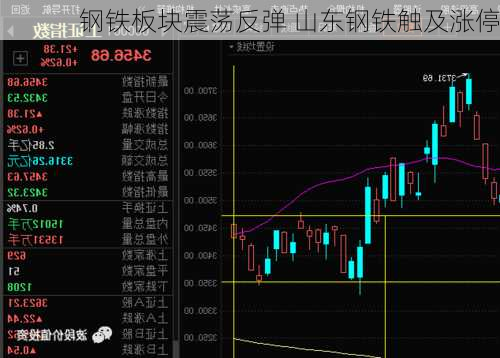 钢铁板块震荡反弹 山东钢铁触及涨停