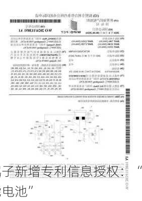 
创新层
诺德电子新增专利信息授权：“一种
型储能电池”