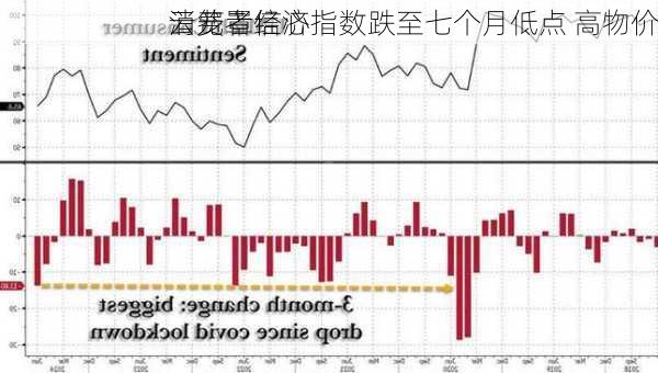 
消费者信心指数跌至七个月低点 高物价
云笼罩经济