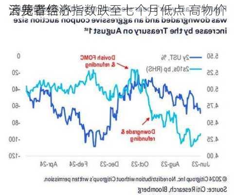 
消费者信心指数跌至七个月低点 高物价
云笼罩经济