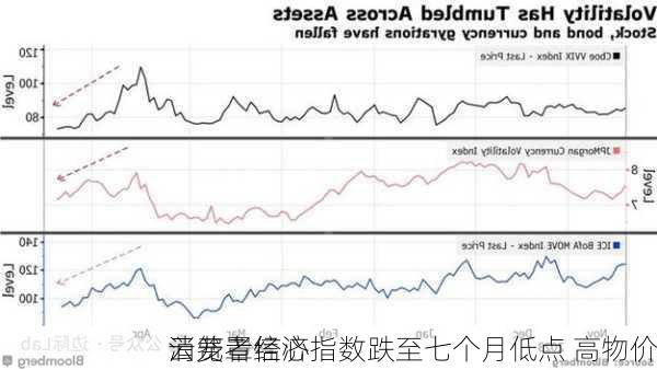 
消费者信心指数跌至七个月低点 高物价
云笼罩经济