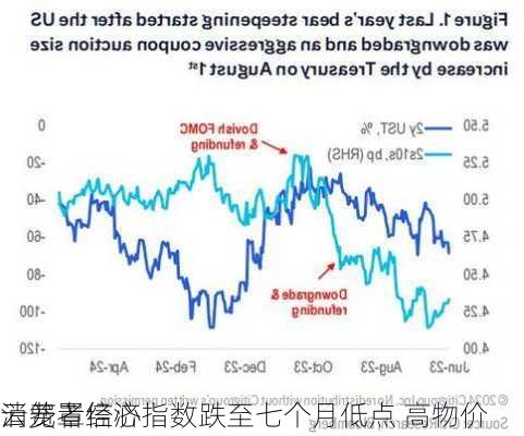 
消费者信心指数跌至七个月低点 高物价
云笼罩经济