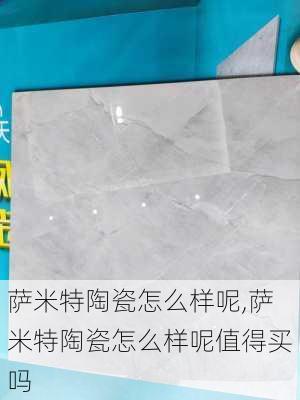 萨米特陶瓷怎么样呢,萨米特陶瓷怎么样呢值得买吗