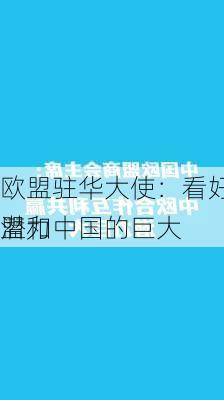 欧盟驻华大使：看好欧盟和中国的巨大
潜力