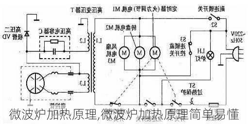 微波炉加热原理,微波炉加热原理简单易懂