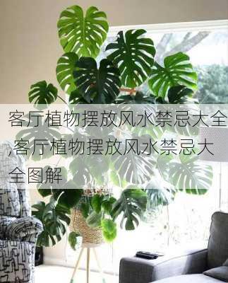 客厅植物摆放风水禁忌大全,客厅植物摆放风水禁忌大全图解