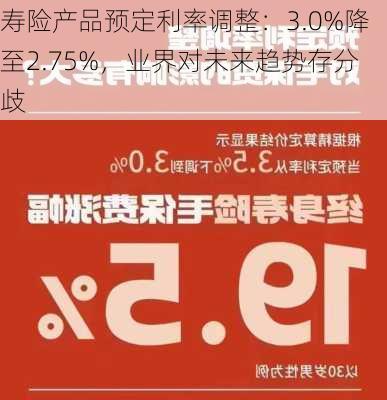 寿险产品预定利率调整：3.0%降至2.75%，业界对未来趋势存分歧