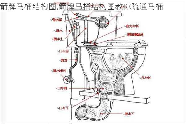 箭牌马桶结构图,箭牌马桶结构图教你疏通马桶