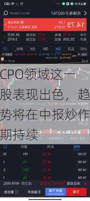 CPO领域这一股表现出色，趋势将在中报炒作期持续