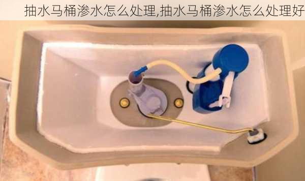 抽水马桶渗水怎么处理,抽水马桶渗水怎么处理好