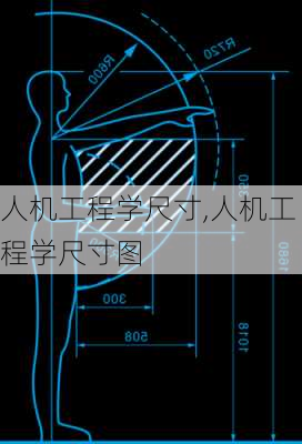 人机工程学尺寸,人机工程学尺寸图