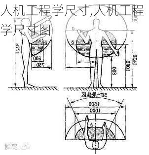 人机工程学尺寸,人机工程学尺寸图