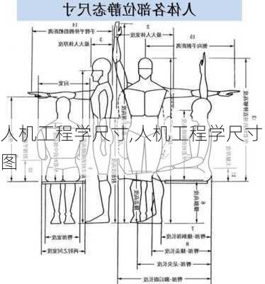 人机工程学尺寸,人机工程学尺寸图