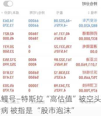 电鳗号—特斯拉“高估值”被空头诟病 被指是 “股市泡沫”