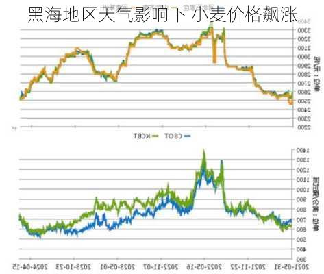 黑海地区天气影响下 小麦价格飙涨