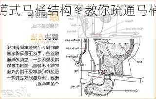 蹲式马桶结构图教你疏通马桶,