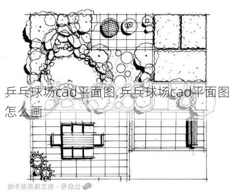 乒乓球场cad平面图,乒乓球场cad平面图怎么画