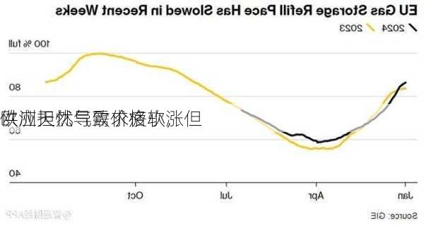 欧洲天然气需求疲软，但
供应担忧导致价格小涨