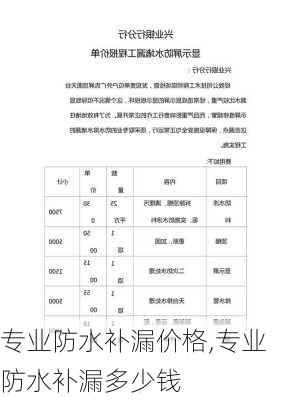 专业防水补漏价格,专业防水补漏多少钱