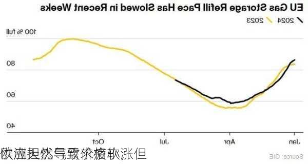 欧洲天然气需求疲软，但
供应担忧导致价格小涨