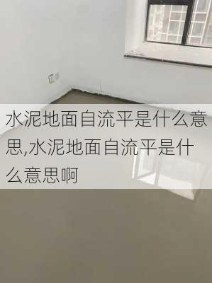 水泥地面自流平是什么意思,水泥地面自流平是什么意思啊