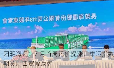 阳明海运：7 月首周运价提涨，集运指数期货周四宽幅反弹