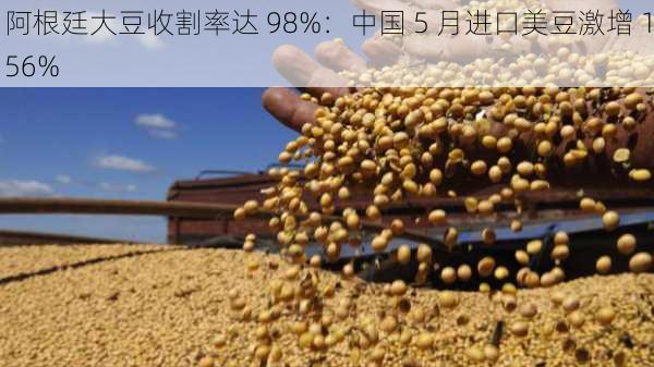 阿根廷大豆收割率达 98%：中国 5 月进口美豆激增 156%