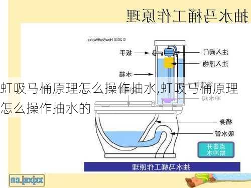 虹吸马桶原理怎么操作抽水,虹吸马桶原理怎么操作抽水的