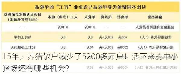 15年，养猪散户减少了5200多万户！活下来的中小猪场还有哪些机会？