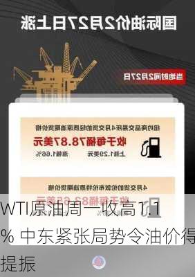 
WTI原油周一收高1.1% 中东紧张局势令油价得到提振