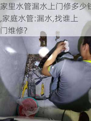 家里水管漏水上门修多少钱,家庭水管:漏水,找谁上门维修?