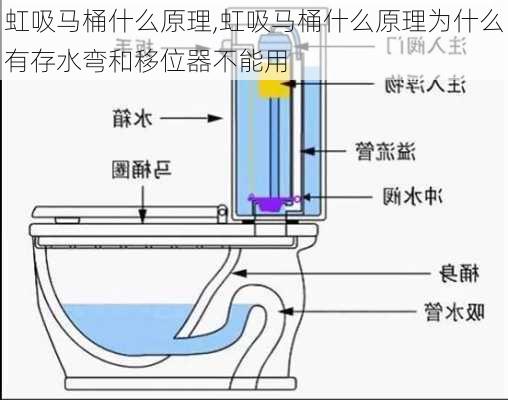 虹吸马桶什么原理,虹吸马桶什么原理为什么有存水弯和移位器不能用