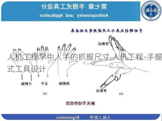 人机工程学中人手的抓握尺寸,人机工程-手握式工具设计