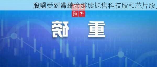 高盛：对冲基金继续抛售科技股和芯片股，
股则受到青睐